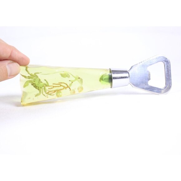 1960-1980s lucite acrylic sea theme bottle opener, taxidermy miniature crab soda - Picture 5 of 9